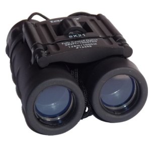 Tasco 10X25